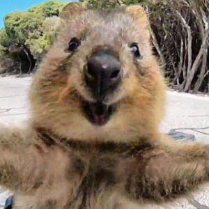 Meet your Posher, Ben